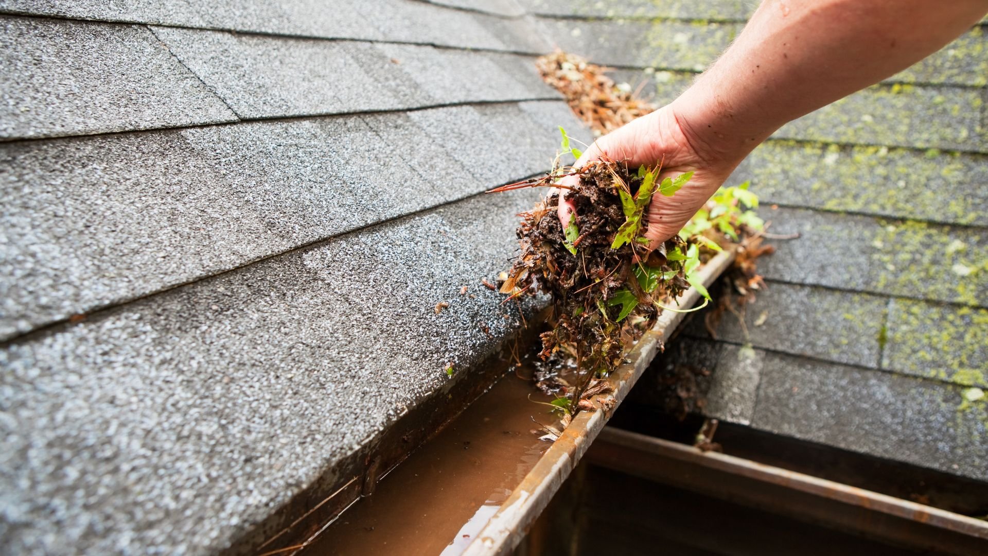 Hand cleaning debris from roof gutter filled with leaves and moss