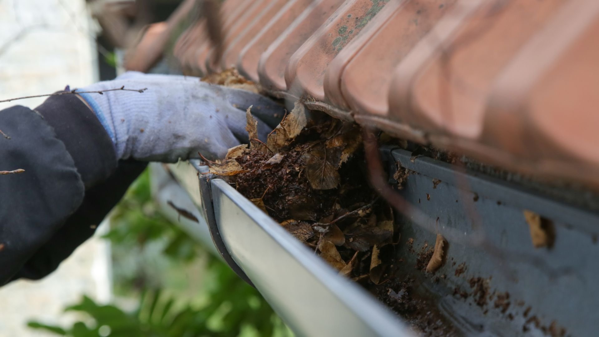 Gloved hand cleaning leaves and debris from roof gutter
